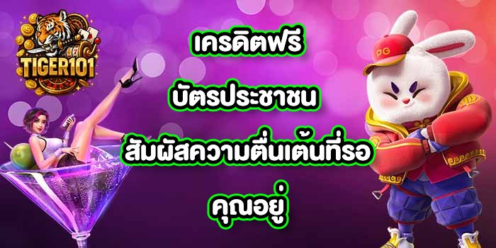TIGER101 เครดิตฟรีบัตรประชาชน