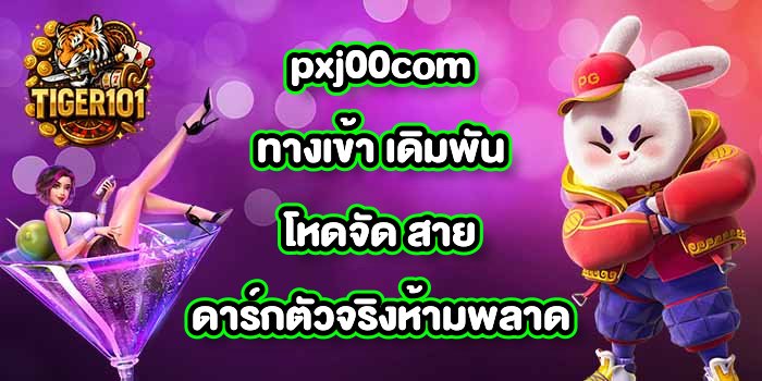 TIGER101 pxj00comทางเข้า